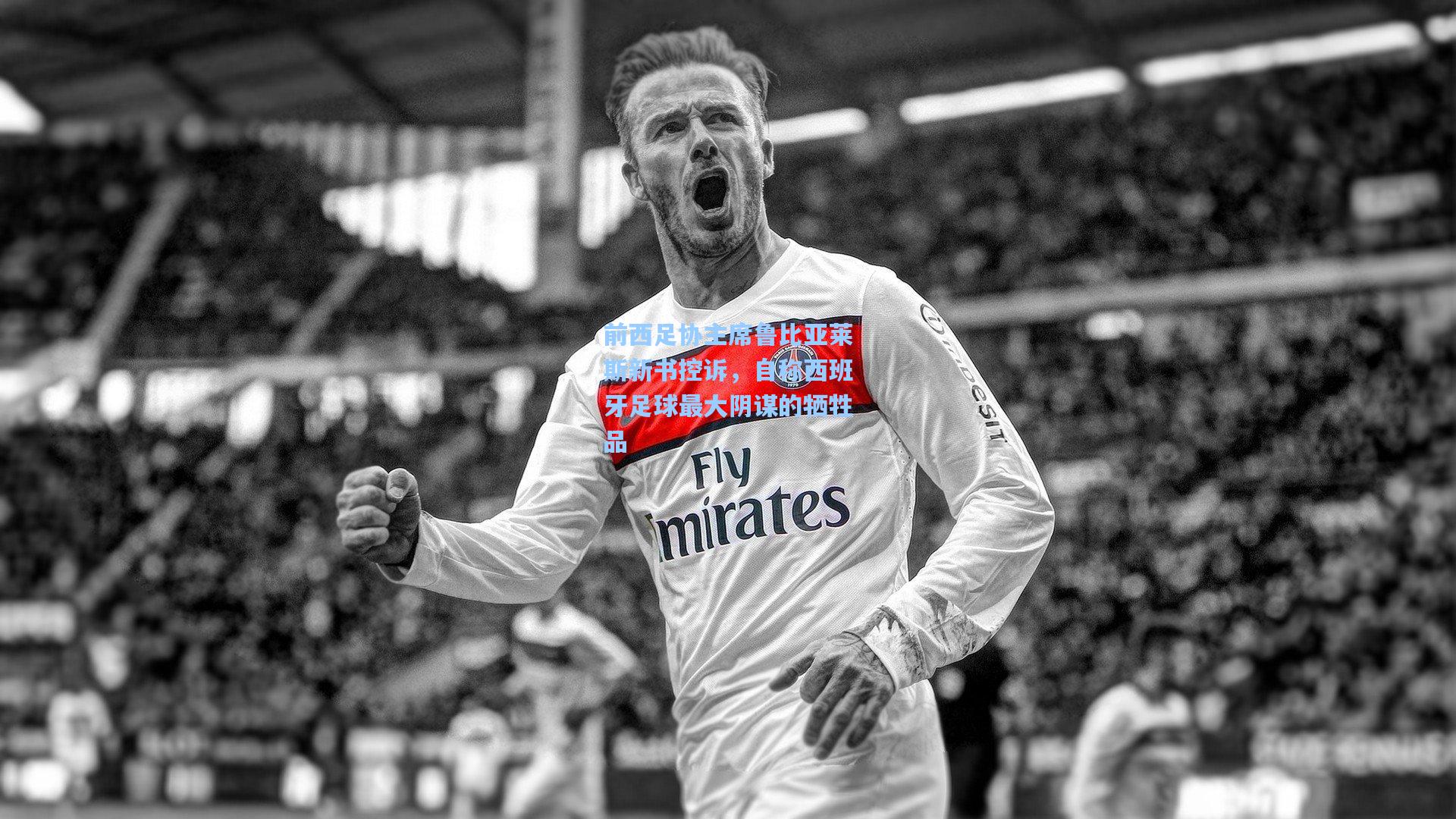 前西足协主席鲁比亚莱斯新书控诉，自称西班牙足球最大阴谋的牺牲品